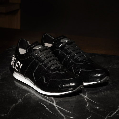 Image-1-life-of-riley-8076b14fc6fee72d2d01069ef5e5988