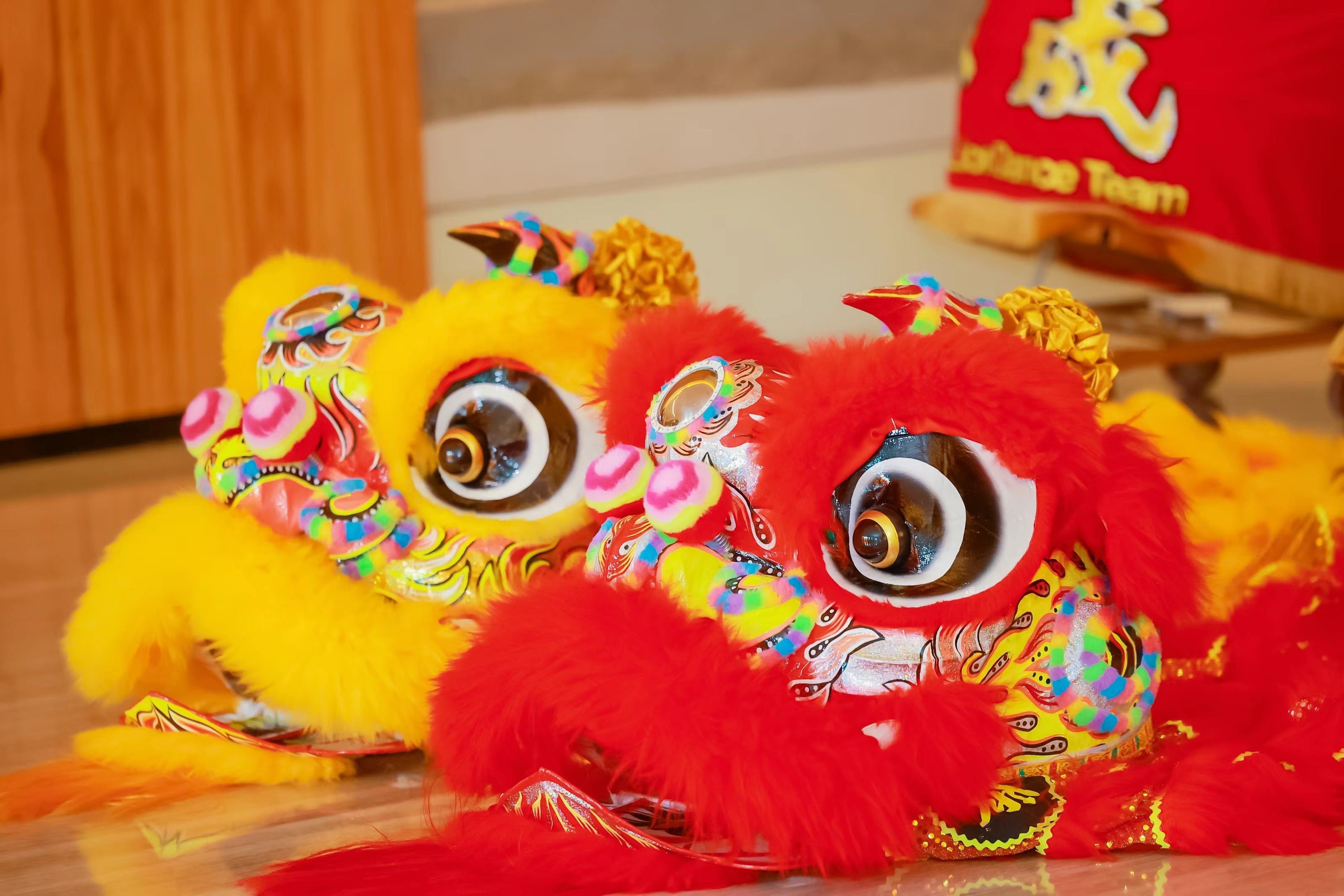 Lion Dance
